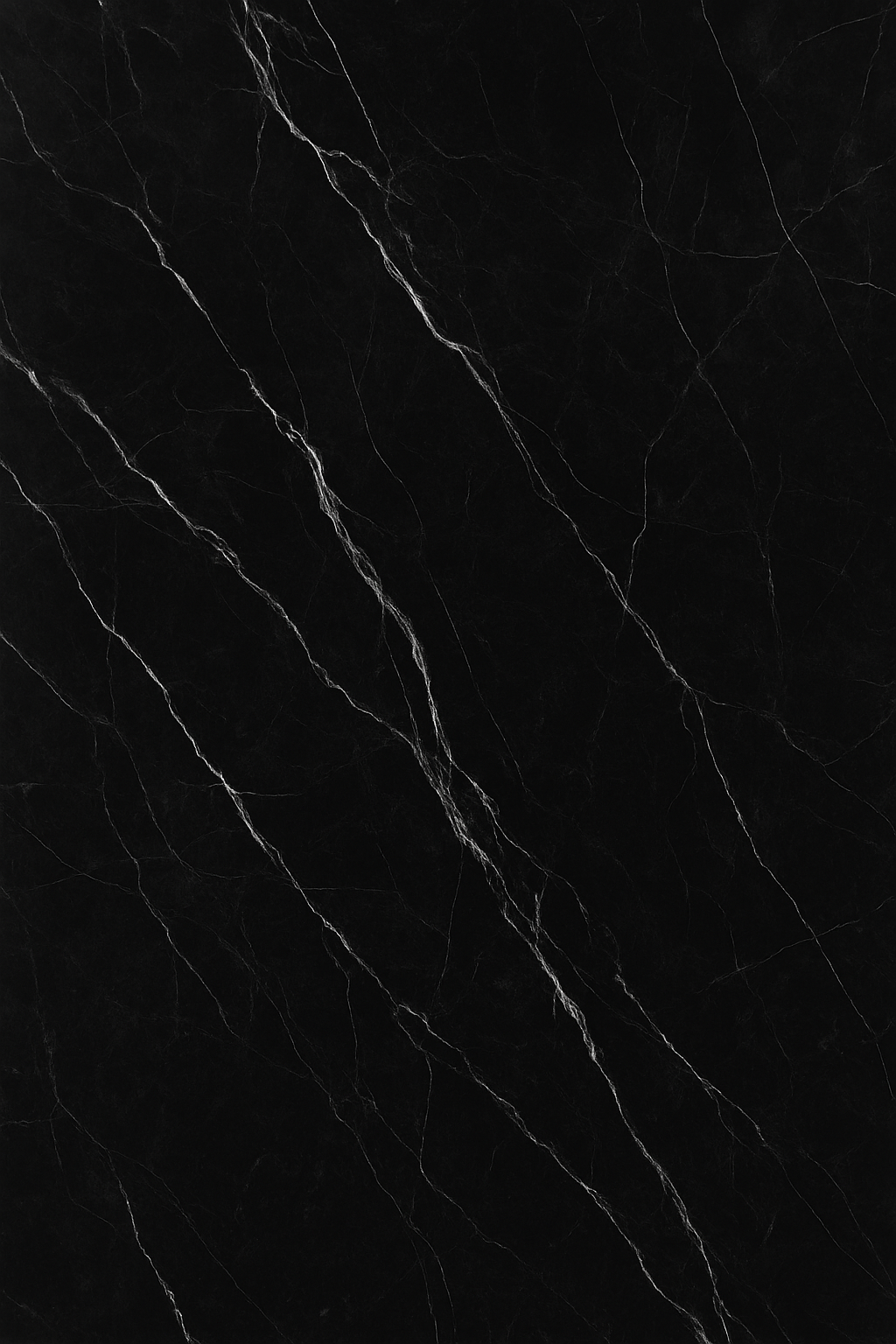 PPF Decorative Black Marble Wall Panels/Ceiling Tile