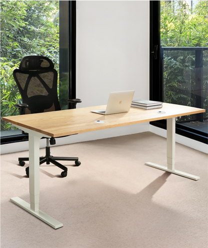 Adjustable Height Standing Desk - Large