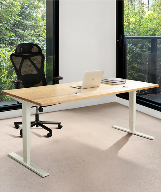 Adjustable Height Standing Desk - Large