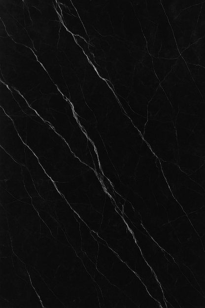 PPF Decorative Black Marble Wall Panels/Ceiling Tile