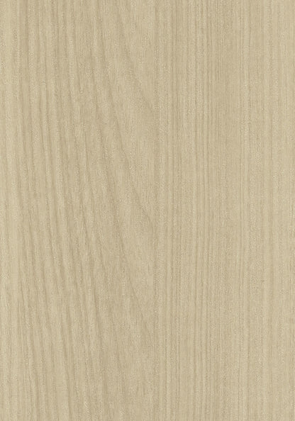 PPF Decorative Wall Panels/Ceiling Tile